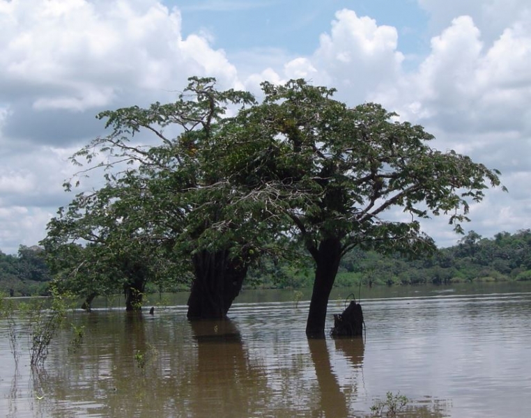 Laguna Grande